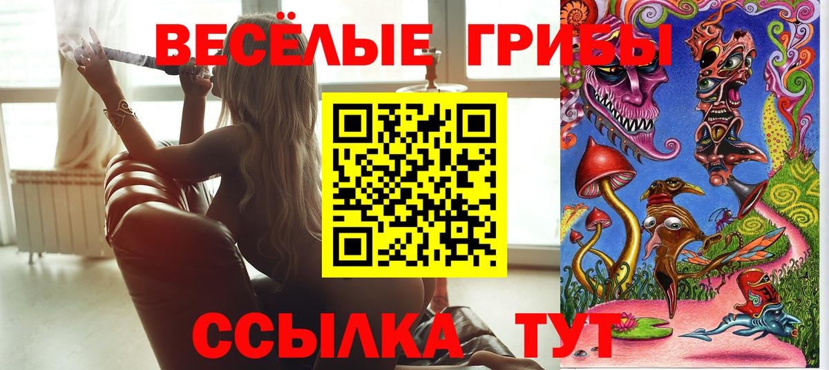 Псилоцибиновые грибы Psilocybe Дятьково