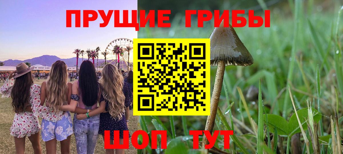 Псилоцибиновые грибы мицелий  Вход с VPN  Псилоцибиновые грибы мицелий  где можно купить наркотик  Дятьково 