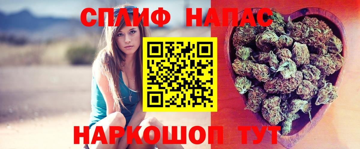 Шишки марихуана Amnesia  Вход с VPN  Дятьково  Бошки марихуана OG Kush  Бошки марихуана конопля  Шишки марихуана план 